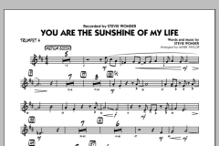 You Are The Sunshine Of My Life von Stevie Wonder (Download) 