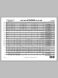 You Are The Sunshine Of My Life von Stevie Wonder (Download) 