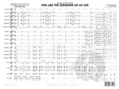 You Are The Sunshine Of My Life (Stevie Wonder) 