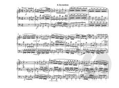 Zweistimmige Inventionen als 'Schule des Triospiels' von Johann Sebastian Bach 