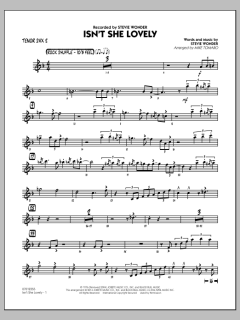 Isn't She Lovely von Stevie Wonder (Download) 