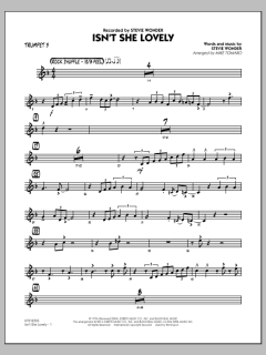 Isn't She Lovely von Stevie Wonder (Download) 