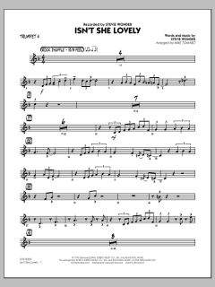 Isn't She Lovely von Stevie Wonder (Download) 