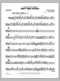 Isn't She Lovely von Stevie Wonder (Download) 