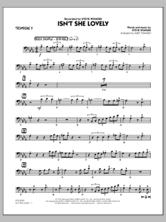 Isn't She Lovely von Stevie Wonder (Download) 