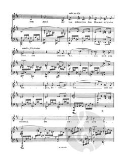 Als mir dein Lied erklang (tief D-Dur) von Richard Strauss 