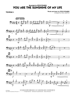 You Are The Sunshine Of My Life von Stevie Wonder (Download) 