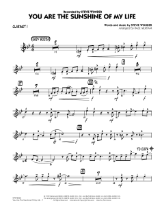 You Are The Sunshine Of My Life von Stevie Wonder (Download) 