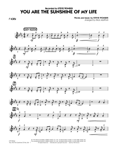 You Are The Sunshine Of My Life von Stevie Wonder (Download) 