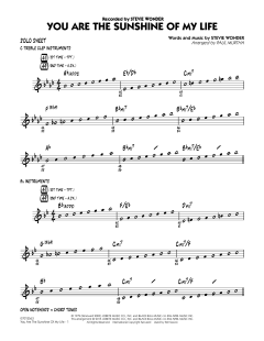 You Are The Sunshine Of My Life von Stevie Wonder (Download) 