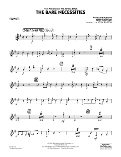 The Bare Necessities von Terry Gilkyson (Download) 