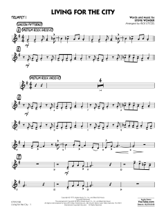 Living for the City von Stevie Wonder (Download) 