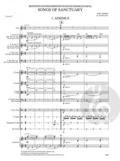 Celtic Lovesongs von Carsten Gerlitz 