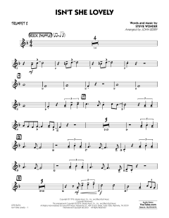 Isn't She Lovely von Stevie Wonder (Download) 