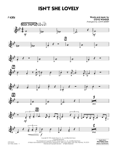 Isn't She Lovely von Stevie Wonder (Download) 