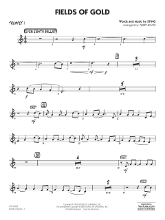 Fields of Gold von Sting (Download) 