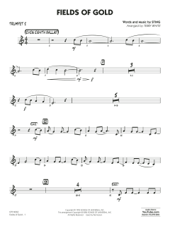 Fields of Gold von Sting (Download) 