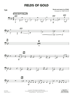 Fields of Gold von Sting (Download) 