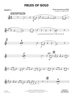 Fields of Gold von Sting (Download) 