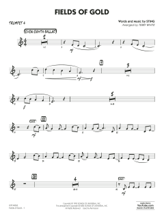 Fields of Gold von Sting (Download) 