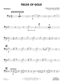 Fields of Gold von Sting (Download) 