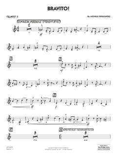 Bravito! von Michele Fernández (Download) 