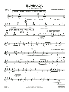 Iluminada von Michele Fernández (Download) 