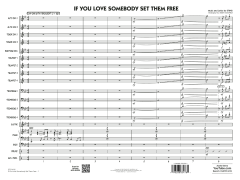 If You Love Somebody Set Them Free von Sting (Download) 
