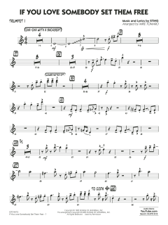 If You Love Somebody Set Them Free von Sting (Download) 