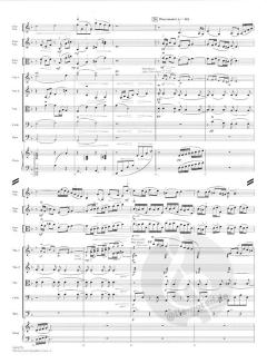 Theme from Schindler's List von John Williams 