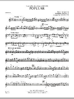 Popular von Stephen L. Schwartz (Download) 