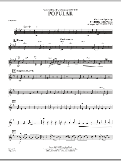 Popular von Stephen L. Schwartz (Download) 