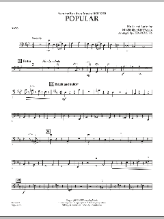 Popular von Stephen L. Schwartz (Download) 