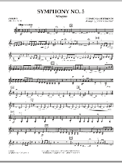 Symphonie Nr. 5 c-Moll op. 67 von Ludwig van Beethoven (Download) 