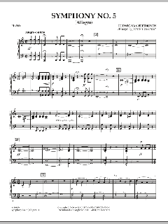 Symphonie Nr. 5 c-Moll op. 67 von Ludwig van Beethoven (Download) 