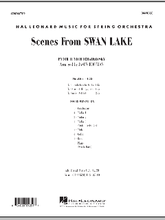 Scenes from Swan Lake von Peter Iljitsch Tschaikowsky (Download) 