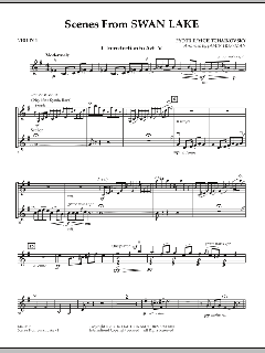 Scenes from Swan Lake von Peter Iljitsch Tschaikowsky (Download) 