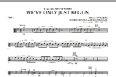 We've Only Just Begun von The Carpenters (Download) 