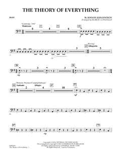 The Theory of Everything (Download) 