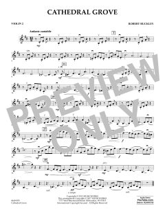 Cathedral Grove von Robert Buckley Farlee (Download) 