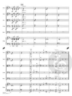 Witch's Fiddle von Robert Buckley Farlee 