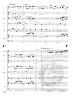 Adagio von Tomaso Giovanni Albinoni 