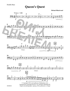 Queen's Quest von Michael Blackwood (Download) 