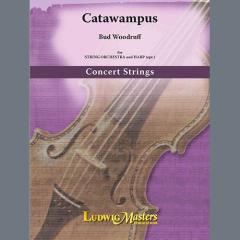 Catawampus von Bud Woodruff (Download) 