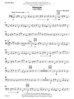 Midnight von Steven L. Rosenhaus (Download) 