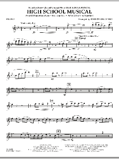 High School Musical von David Lawrence (Download) 