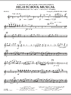 High School Musical von David Lawrence (Download) 