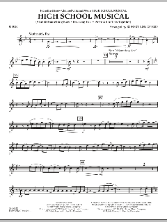 High School Musical von David Lawrence (Download) 