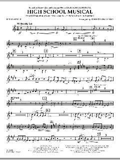 High School Musical von David Lawrence (Download) 