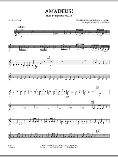 Amadeus! von Wolfgang Amadeus Mozart (Download) 